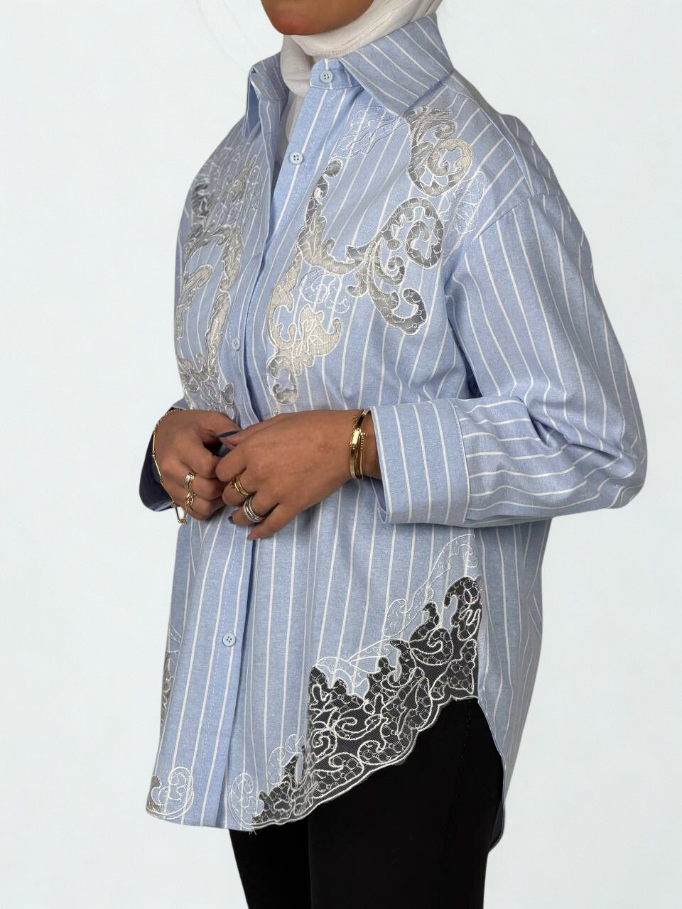 Stripe Sheer Embroidery Shirt