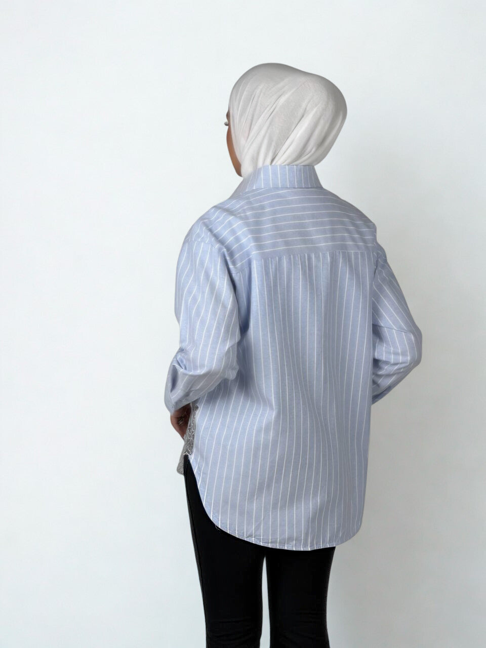 Stripe Sheer Embroidery Shirt