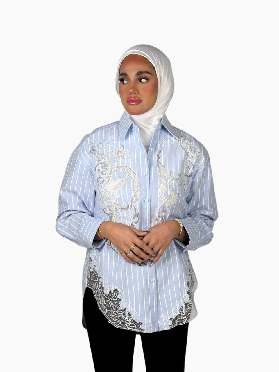 Stripe Sheer Embroidery Shirt